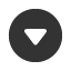 downwards-circle-triangle icon