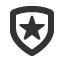 shield-empty-star icon