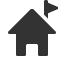 home-flag icon