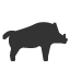 wild-boar icon