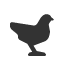 chicken icon