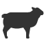 sheep icon