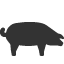 pig icon