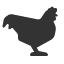 rooster icon