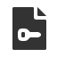 file-key icon