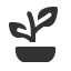 indoor-plant icon